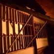 高台寺 夜間ライトアップ　時雨亭(060807b)