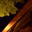 高台寺 夜間ライトアップ　時雨亭(060807c)