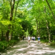 下鴨神社の糺の森