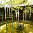 妙顕寺　竹林の庭