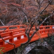 京都の橋　高雄山　西明寺の指月橋