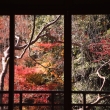 秋の京都　窓からの紅葉の景色