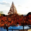 京都国立博物館の秋