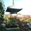 清凉寺の多宝塔