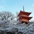 祇園の雪　2022