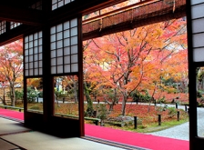 京都紅葉めぐり～一乗寺・修学院界隈を巡る～