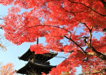 紅葉～京都 銀閣寺から南禅寺を巡る～