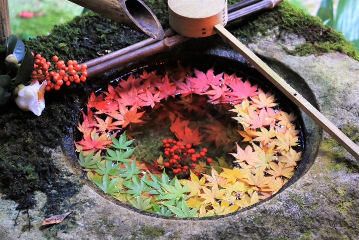 京都の紅葉～西エリア～ メインイメージ
