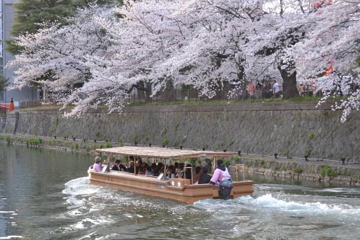 京都 | 岡崎界隈十石舟桜めぐりコース メインイメージ