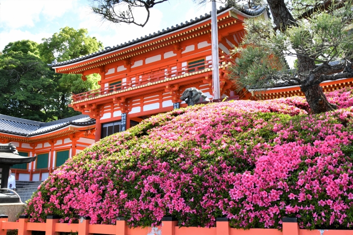 【京都ぶらり散歩】八坂神社を巡る旅 メインイメージ
