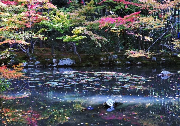 京都の庭園30選 ～岡崎方面～ メインイメージ