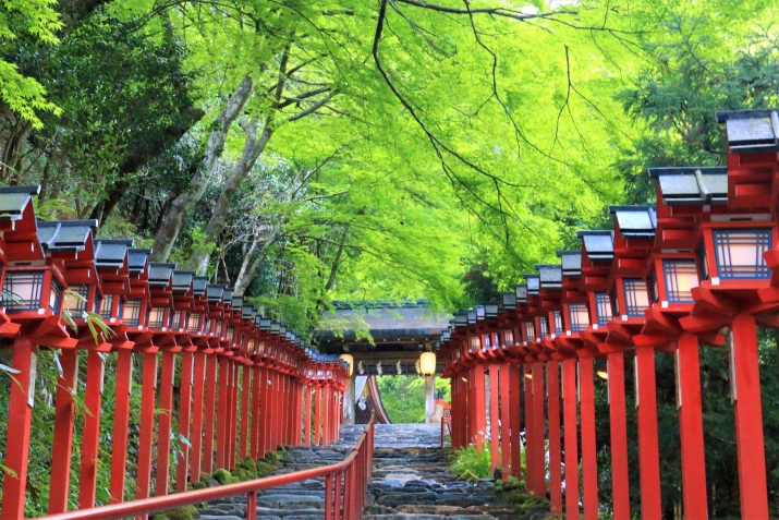 緑の京都 メインイメージ
