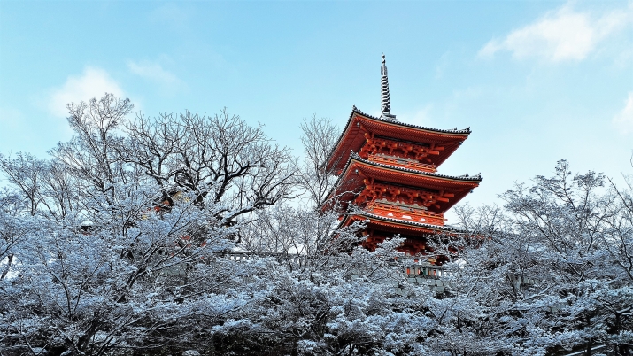 祇園の雪　2022 メインイメージ