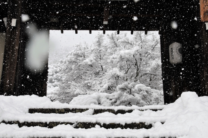 岩倉の雪 メインイメージ