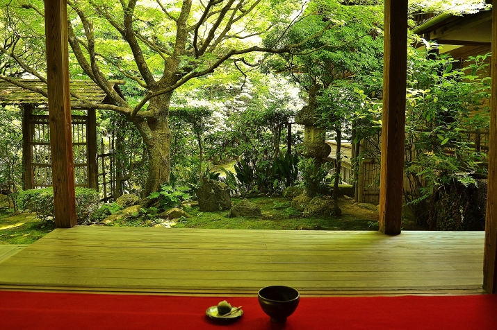 隠れた名所で青もみじとお茶を楽しむ「桂春院」 メインイメージ