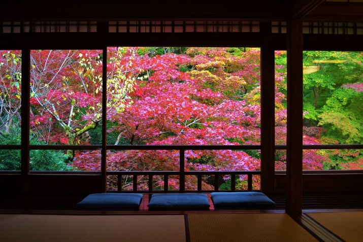 比叡山の麓に佇む紅葉の名所　瑠璃光院 メインイメージ