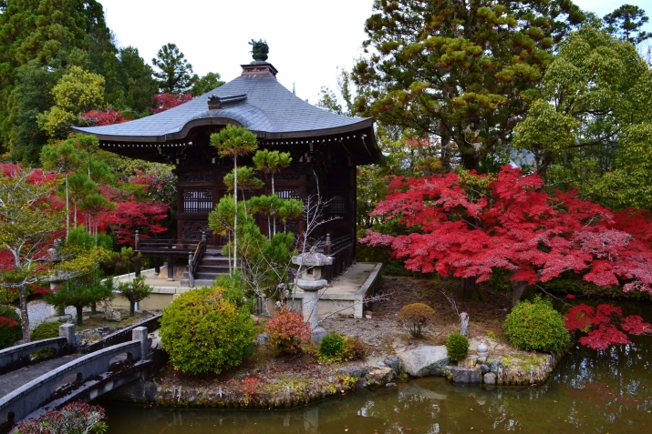 紅葉につつまれた弁天堂　清凉寺 メインイメージ