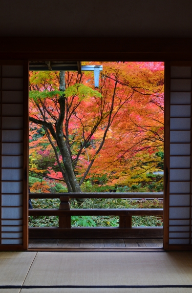 嵯峨野の紅葉の名所　宝筐院 メインイメージ