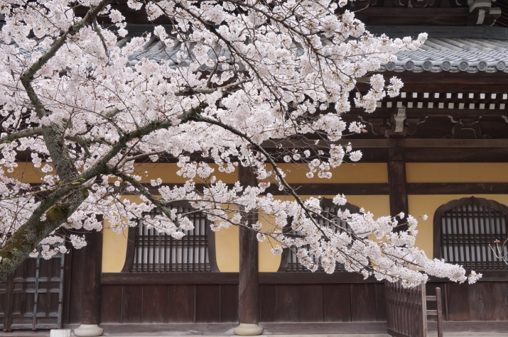 京都で桜を愛でるなら（3）～南禅寺 メインイメージ