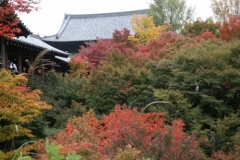 東福寺 秋の看楓特別拝観