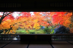 紅葉が美しい天龍寺塔頭 宝厳院で早朝の静寂なひとときを過ごす