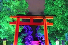 下鴨神社　糺の森の光の祭