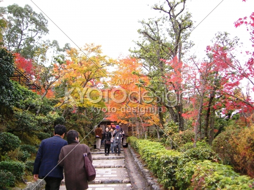 秋の化野念仏寺参道