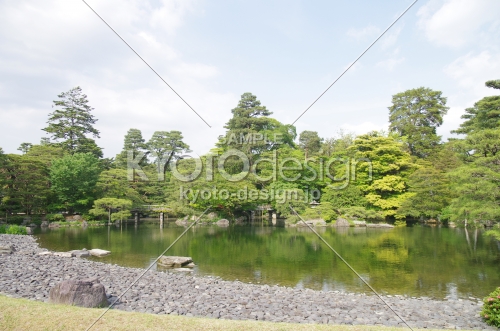 京都御所　新緑の御池庭