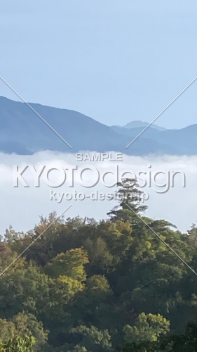 保津峡の雲海