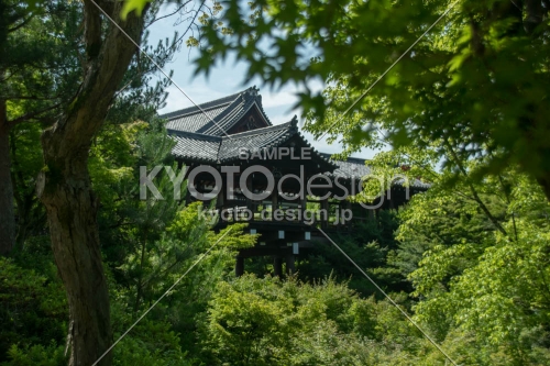 東福寺 通天橋と青葉の季節