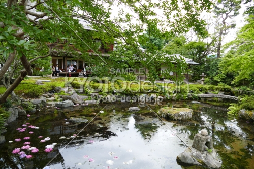 庭に広がる美しい池　旧三井家下鴨別邸