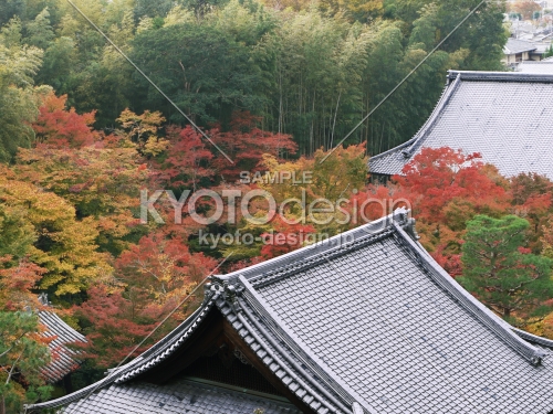 圓光寺を望む　屋根と紅葉