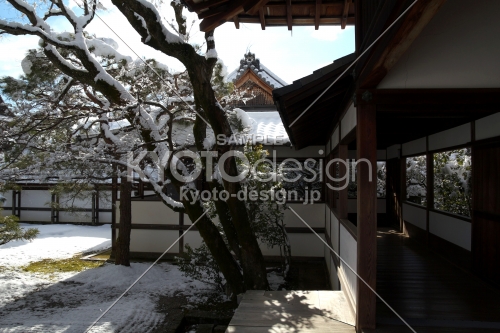 雪景色の仁和寺11