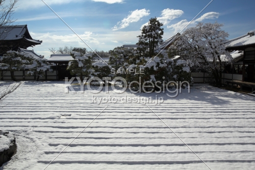 雪景色の仁和寺18