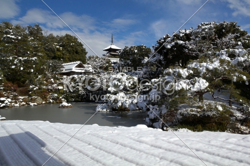 雪景色の仁和寺23
