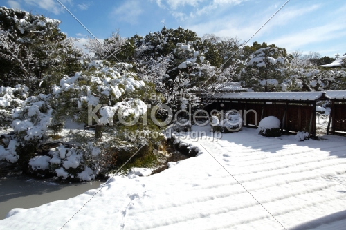 雪景色の仁和寺26