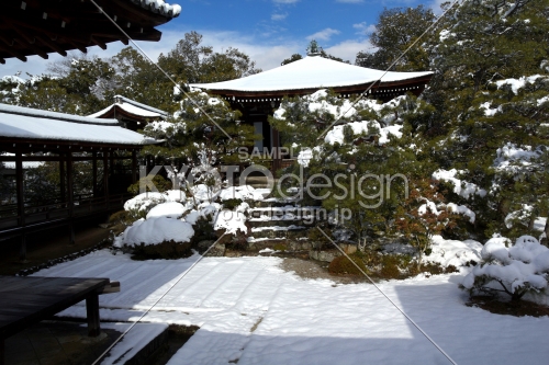 雪景色の仁和寺29