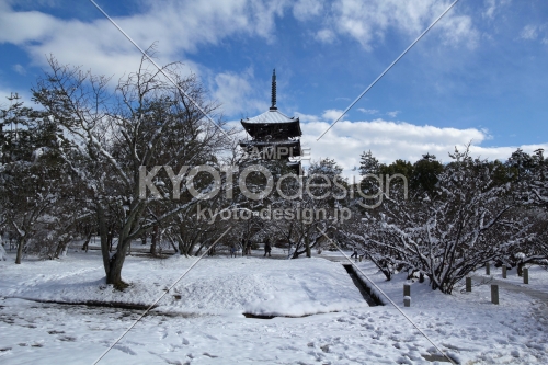 雪景色の仁和寺45