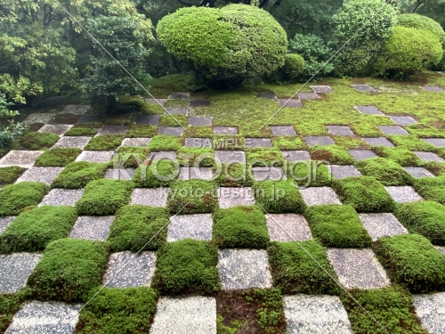 2019 東福寺のお庭