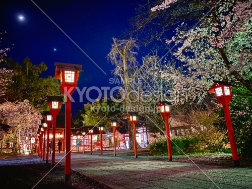 2020 平野神社