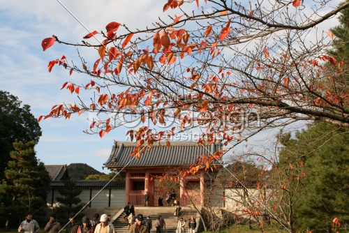 秋の仁和寺中門