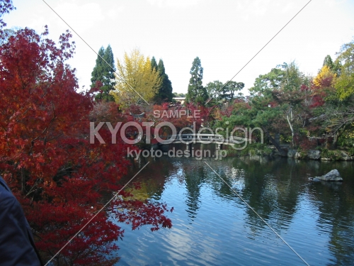 永観堂 池と紅葉
