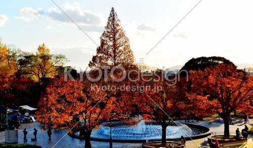 京都国立博物館の秋