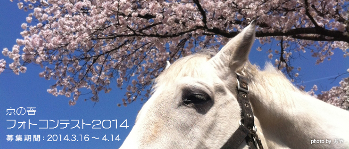 京都の春フォトコンテスト2014