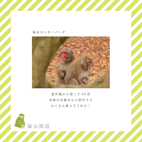 嵐山周辺_嵐山モンキーパーク。渡月橋から登って20分。本物のお猿さんに餌やり♪たくさん食べてくれた！
