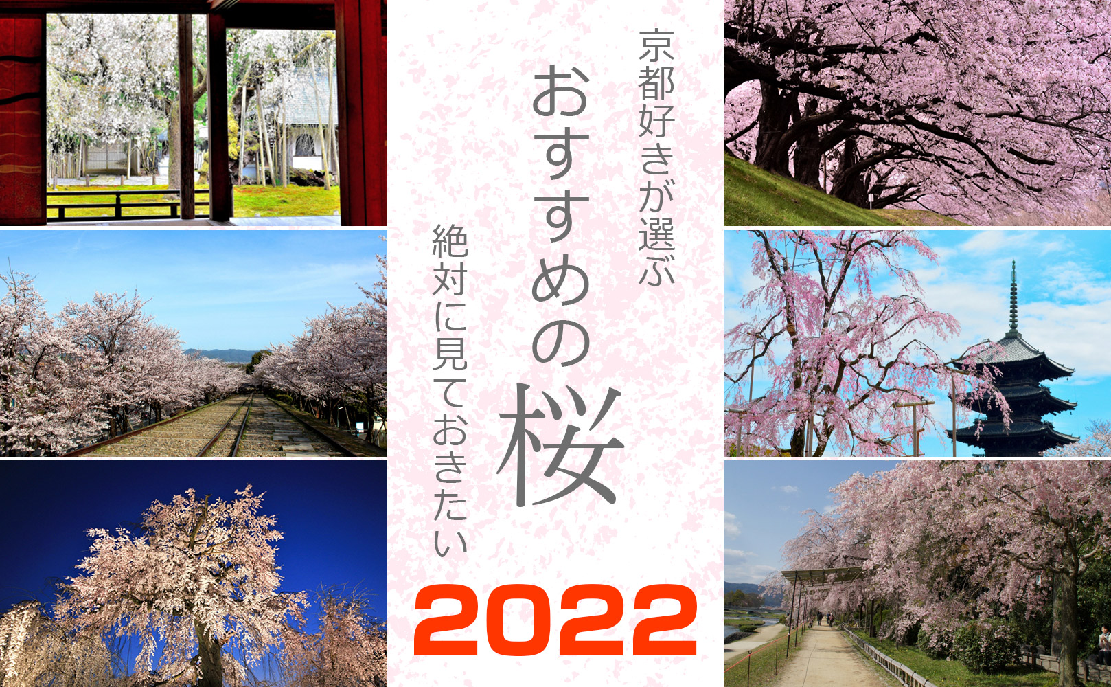 京都好きが選ぶ 絶対に見ておきたい おすすめの桜