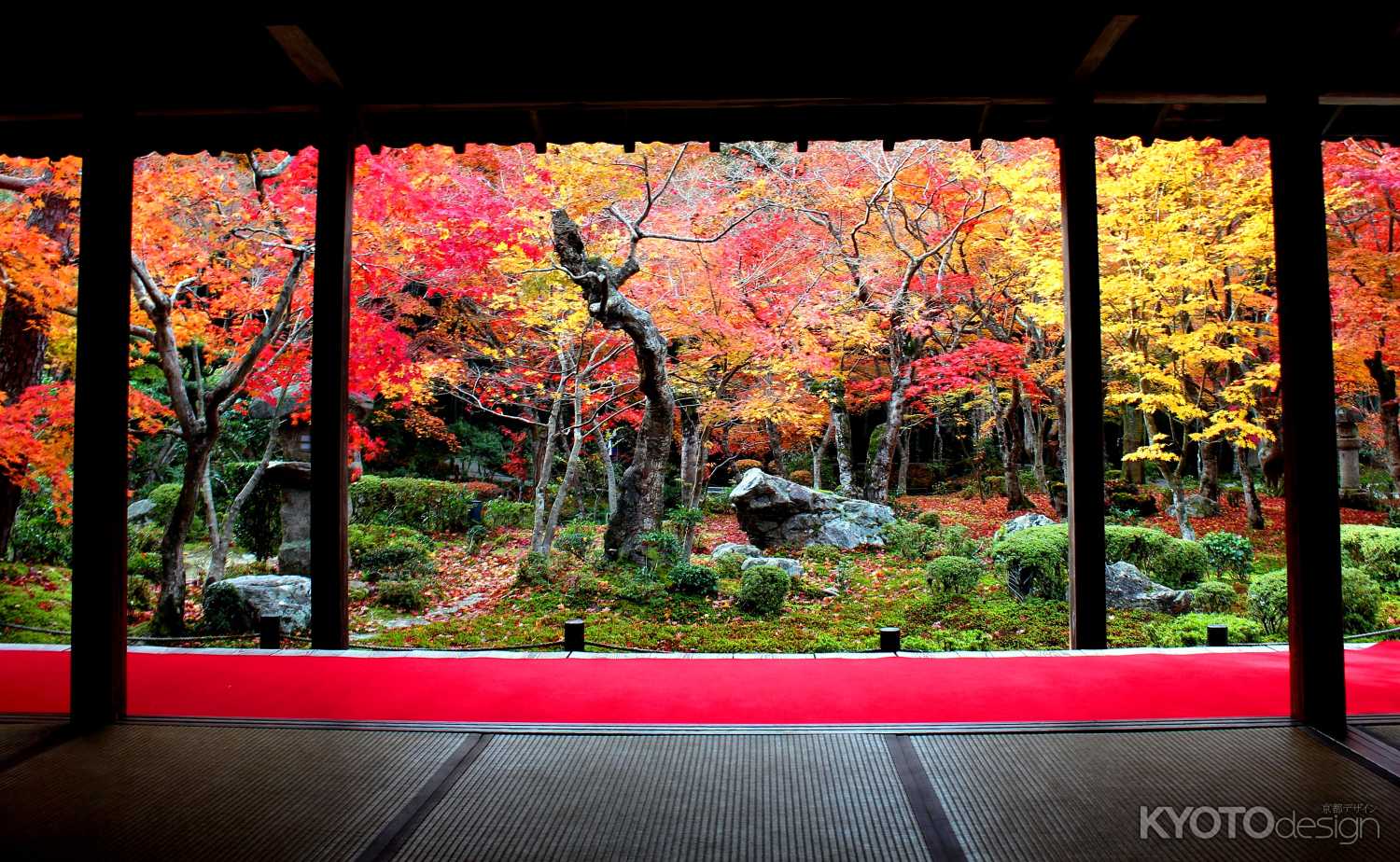 京都で待ってるから 紅葉の季節２叡電で行く秋 | 京都観光情報 KYOTOdesign