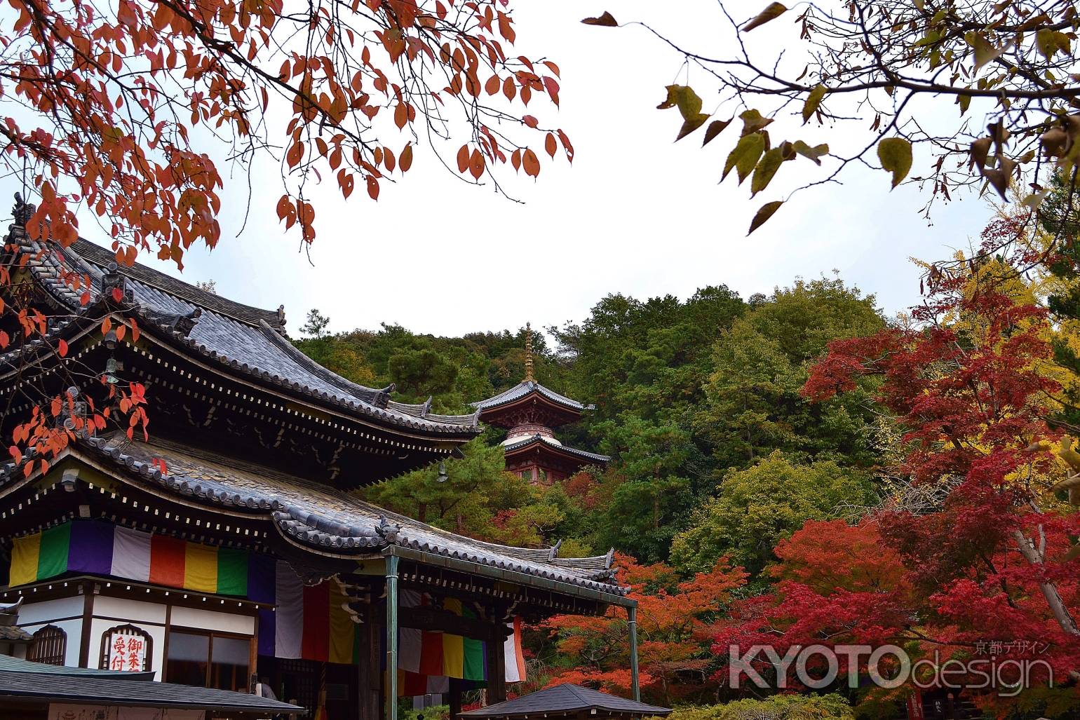 紅葉の今熊野観音寺