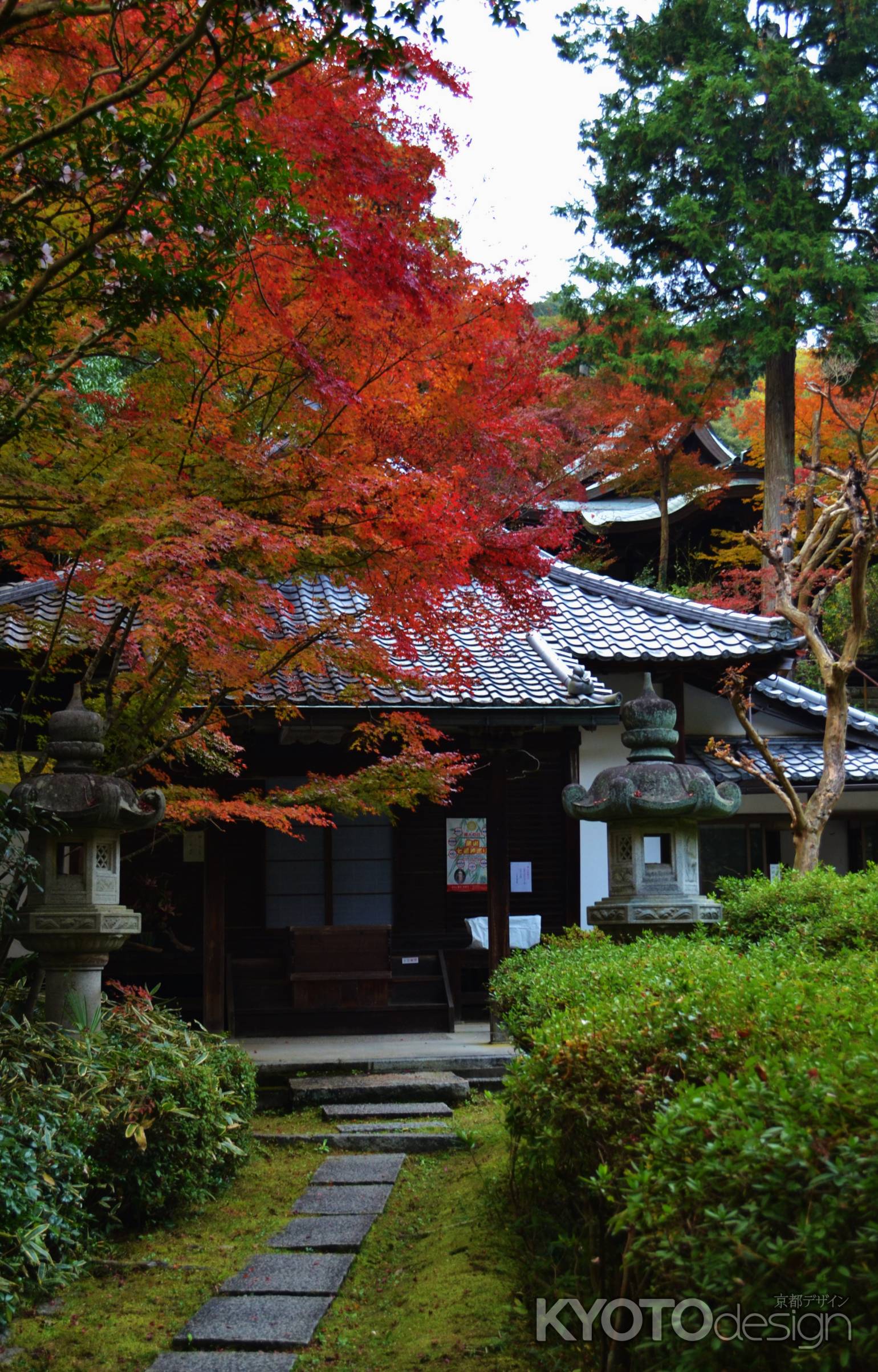 来迎院の紅葉