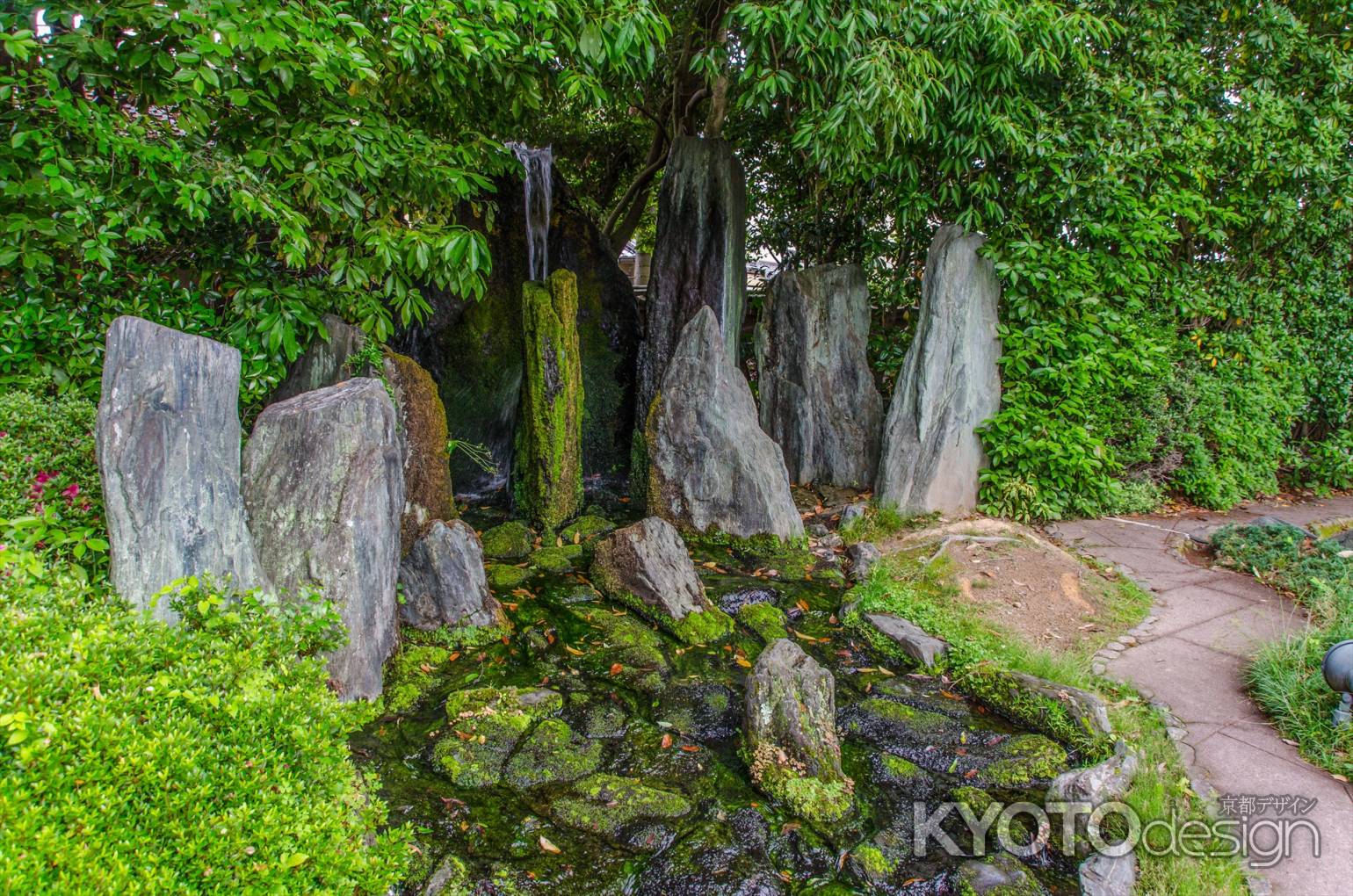 松尾大社は松風苑三庭の一つ、蓬莱の庭の龍門瀑